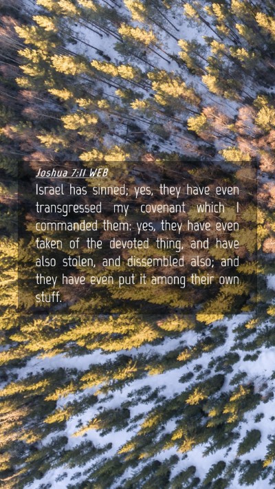 Picture 04 - Joshua 7:11 WEB Mobile Phone Wallpaper - Israel has sinned; yes, they have even - Mobile Bible Verse Wallpaper