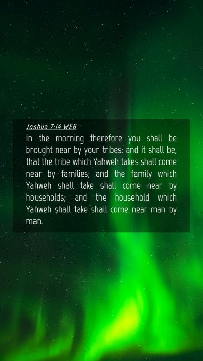 Picture 04 - Joshua 7:14 WEB Mobile Phone Wallpaper - In the morning therefore you shall be brought - Mobile Bible Verse Wallpaper