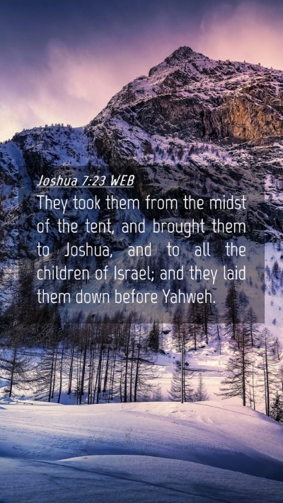 Picture 04 - Joshua 7:23 WEB Mobile Phone Wallpaper - They took them from the midst of the tent, and - Mobile Bible Verse Wallpaper
