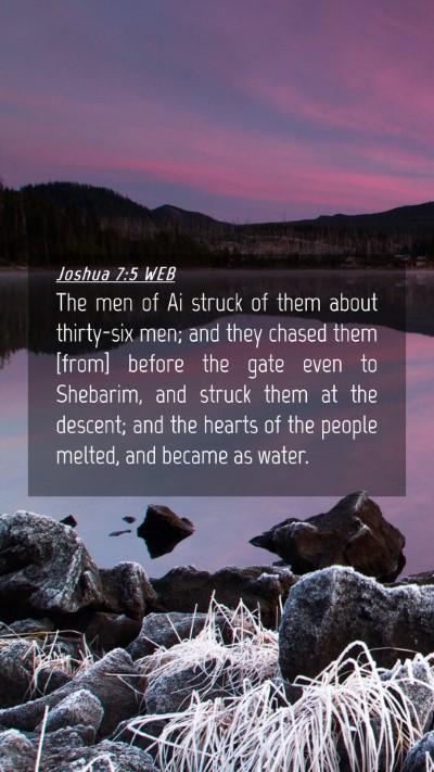 Picture 04 - Joshua 7:5 WEB Mobile Phone Wallpaper - The men of Ai struck of them about thirty-six - Mobile Bible Verse Wallpaper