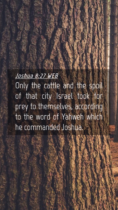 Picture 04 - Joshua 8:27 WEB Mobile Phone Wallpaper - Only the cattle and the spoil of that city Israel - Mobile Bible Verse Wallpaper