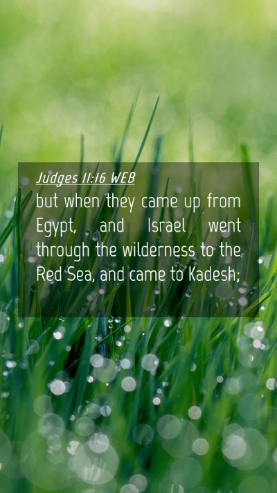 Picture 04 - Judges 11:16 WEB Mobile Phone Wallpaper - but when they came up from Egypt, and Israel went - Mobile Bible Verse Wallpaper