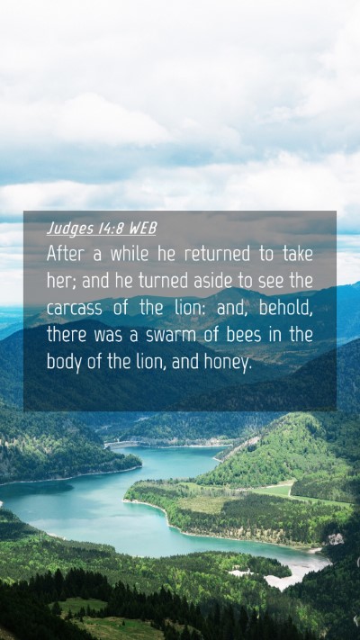 Picture 04 - Judges 14:8 WEB Mobile Phone Wallpaper - After a while he returned to take her; and he - Mobile Bible Verse Wallpaper