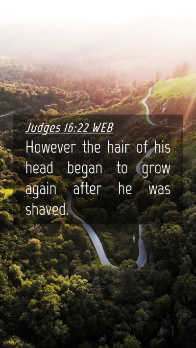 Picture 04 - Judges 16:22 WEB Mobile Phone Wallpaper - However the hair of his head began to grow again - Mobile Bible Verse Wallpaper