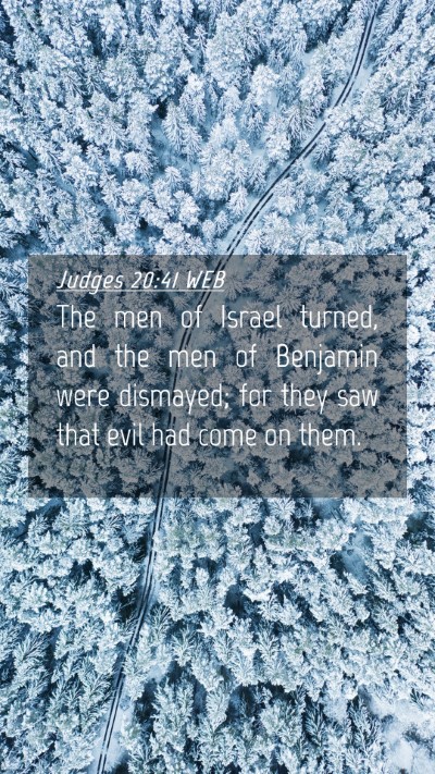 Picture 04 - Judges 20:41 WEB Mobile Phone Wallpaper - The men of Israel turned, and the men of Benjamin - Mobile Bible Verse Wallpaper