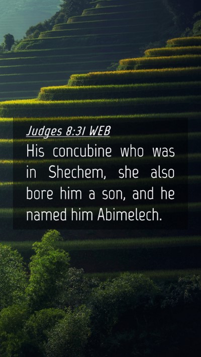 Picture 04 - Judges 8:31 WEB Mobile Phone Wallpaper - His concubine who was in Shechem, she also bore - Mobile Bible Verse Wallpaper