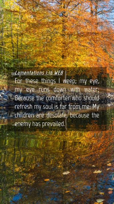 Picture 04 - Lamentations 1:16 WEB Mobile Phone Wallpaper - For these things I weep; my eye, my eye runs down - Mobile Bible Verse Wallpaper