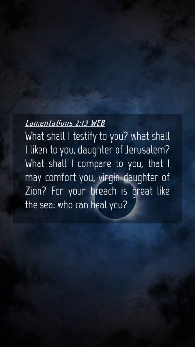Picture 04 - Lamentations 2:13 WEB Mobile Phone Wallpaper - What shall I testify to you? what shall I liken - Mobile Bible Verse Wallpaper