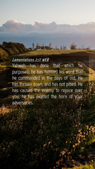 Picture 04 - Lamentations 2:17 WEB Mobile Phone Wallpaper - Yahweh has done that which he purposed; he has - Mobile Bible Verse Wallpaper