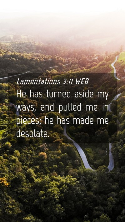 Picture 04 - Lamentations 3:11 WEB Mobile Phone Wallpaper - He has turned aside my ways, and pulled me in - Mobile Bible Verse Wallpaper
