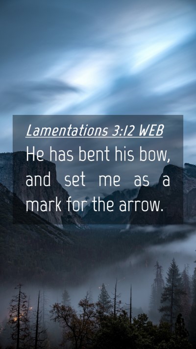 Picture 04 - Lamentations 3:12 WEB Mobile Phone Wallpaper - He has bent his bow, and set me as a mark for the - Mobile Bible Verse Wallpaper