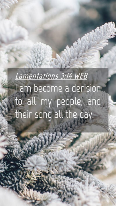 Picture 04 - Lamentations 3:14 WEB Mobile Phone Wallpaper - I am become a derision to all my people, and - Mobile Bible Verse Wallpaper