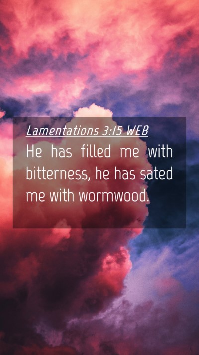 Picture 04 - Lamentations 3:15 WEB Mobile Phone Wallpaper - He has filled me with bitterness, he has sated me - Mobile Bible Verse Wallpaper