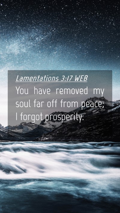 Picture 04 - Lamentations 3:17 WEB Mobile Phone Wallpaper - You have removed my soul far off from peace; I - Mobile Bible Verse Wallpaper
