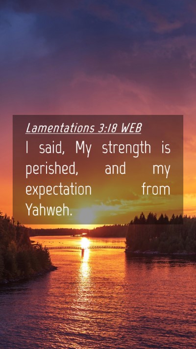 Picture 04 - Lamentations 3:18 WEB Mobile Phone Wallpaper - I said, My strength is perished, and my - Mobile Bible Verse Wallpaper