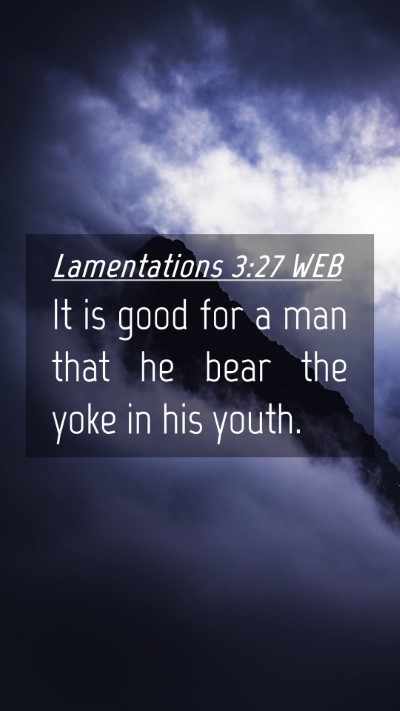 Picture 04 - Lamentations 3:27 WEB Mobile Phone Wallpaper - It is good for a man that he bear the yoke in his - Mobile Bible Verse Wallpaper