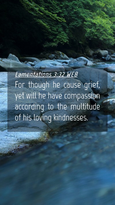 Picture 04 - Lamentations 3:32 WEB Mobile Phone Wallpaper - For though he cause grief, yet will he have - Mobile Bible Verse Wallpaper