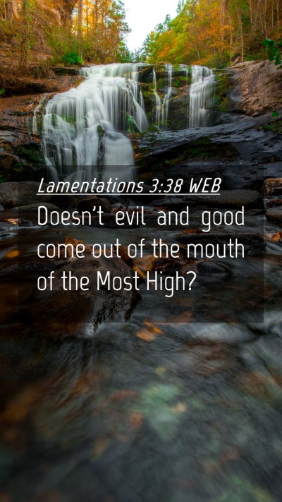 Picture 04 - Lamentations 3:38 WEB Mobile Phone Wallpaper - Doesn't evil and good come out of the mouth of - Mobile Bible Verse Wallpaper