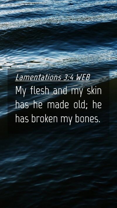 Picture 04 - Lamentations 3:4 WEB Mobile Phone Wallpaper - My flesh and my skin has he made old; he has - Mobile Bible Verse Wallpaper