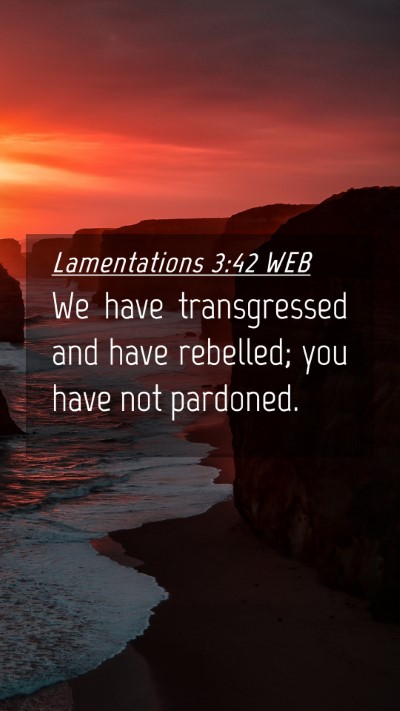 Picture 04 - Lamentations 3:42 WEB Mobile Phone Wallpaper - We have transgressed and have rebelled; you have - Mobile Bible Verse Wallpaper