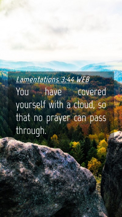 Picture 04 - Lamentations 3:44 WEB Mobile Phone Wallpaper - You have covered yourself with a cloud, so that - Mobile Bible Verse Wallpaper