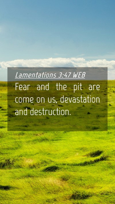 Picture 04 - Lamentations 3:47 WEB Mobile Phone Wallpaper - Fear and the pit are come on us, devastation and - Mobile Bible Verse Wallpaper
