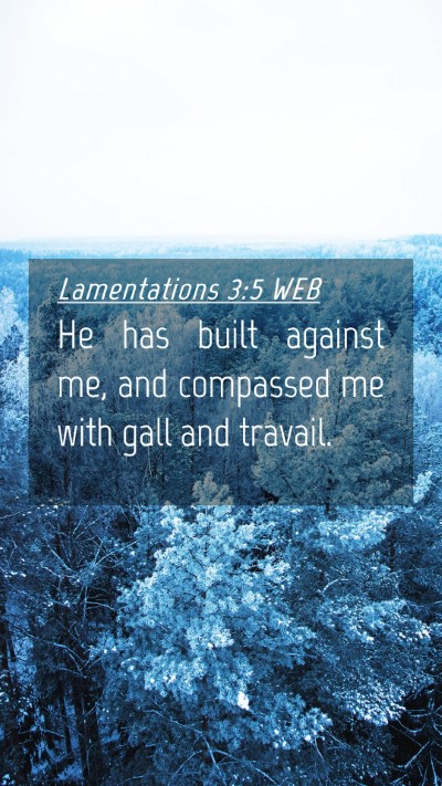 Picture 04 - Lamentations 3:5 WEB Mobile Phone Wallpaper - He has built against me, and compassed me with - Mobile Bible Verse Wallpaper