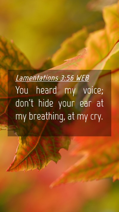 Picture 04 - Lamentations 3:56 WEB Mobile Phone Wallpaper - You heard my voice; don't hide your ear at my - Mobile Bible Verse Wallpaper