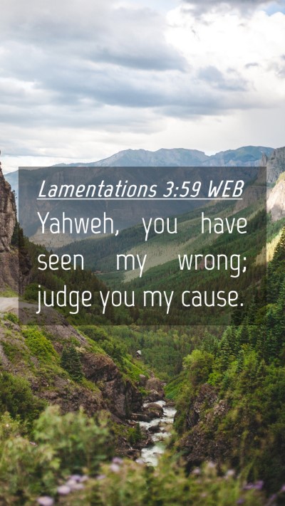 Picture 04 - Lamentations 3:59 WEB Mobile Phone Wallpaper - Yahweh, you have seen my wrong; judge you my - Mobile Bible Verse Wallpaper