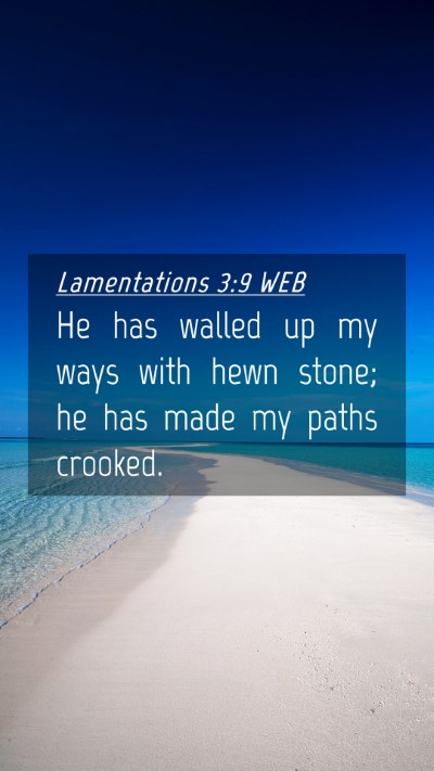Picture 04 - Lamentations 3:9 WEB Mobile Phone Wallpaper - He has walled up my ways with hewn stone; he has - Mobile Bible Verse Wallpaper