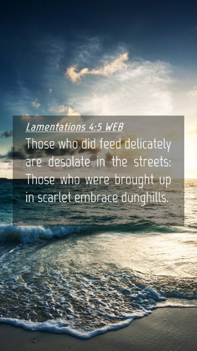 Picture 04 - Lamentations 4:5 WEB Mobile Phone Wallpaper - Those who did feed delicately are desolate in the - Mobile Bible Verse Wallpaper