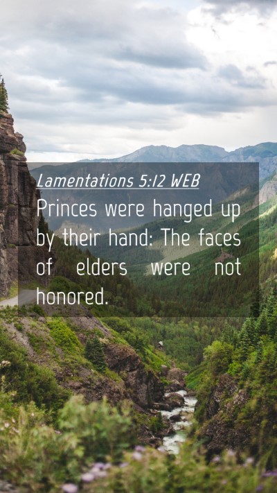 Picture 04 - Lamentations 5:12 WEB Mobile Phone Wallpaper - Princes were hanged up by their hand: The faces - Mobile Bible Verse Wallpaper