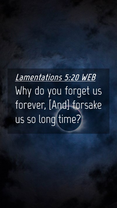 Picture 04 - Lamentations 5:20 WEB Mobile Phone Wallpaper - Why do you forget us forever, [And] forsake us so - Mobile Bible Verse Wallpaper