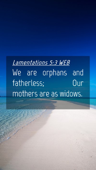 Picture 04 - Lamentations 5:3 WEB Mobile Phone Wallpaper - We are orphans and fatherless; Our mothers are as - Mobile Bible Verse Wallpaper