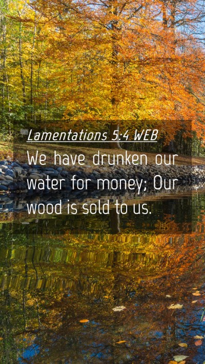 Picture 04 - Lamentations 5:4 WEB Mobile Phone Wallpaper - We have drunken our water for money; Our wood is - Mobile Bible Verse Wallpaper