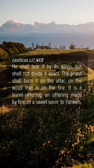 Picture 04 - Leviticus 1:17 WEB Mobile Phone Wallpaper - He shall tear it by its wings, but shall not - Mobile Bible Verse Wallpaper