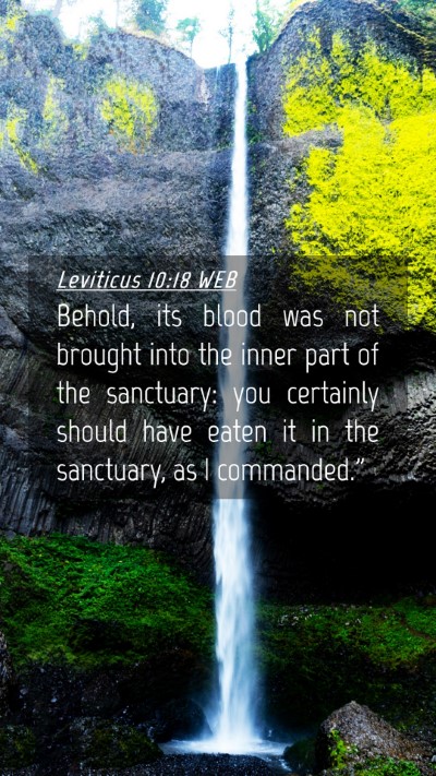 Picture 04 - Leviticus 10:18 WEB Mobile Phone Wallpaper - Behold, its blood was not brought into the inner - Mobile Bible Verse Wallpaper