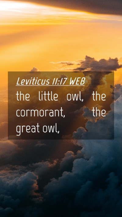 Picture 04 - Leviticus 11:17 WEB Mobile Phone Wallpaper - the little owl, the cormorant, the great - Mobile Bible Verse Wallpaper
