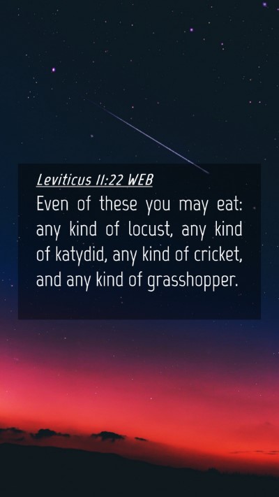 Picture 04 - Leviticus 11:22 WEB Mobile Phone Wallpaper - Even of these you may eat: any kind of locust, - Mobile Bible Verse Wallpaper