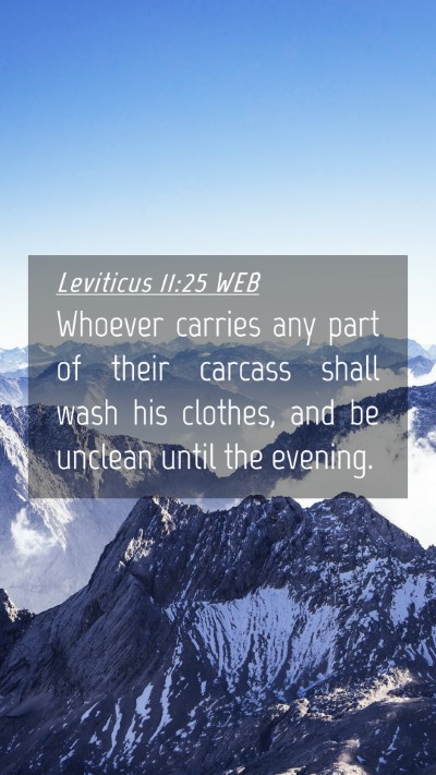 Picture 04 - Leviticus 11:25 WEB Mobile Phone Wallpaper - Whoever carries any part of their carcass shall - Mobile Bible Verse Wallpaper