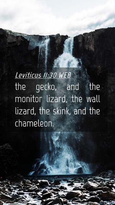 Picture 04 - Leviticus 11:30 WEB Mobile Phone Wallpaper - the gecko, and the monitor lizard, the wall - Mobile Bible Verse Wallpaper