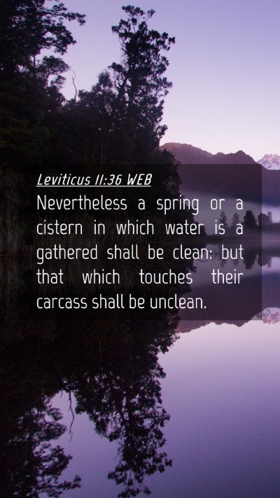 Picture 04 - Leviticus 11:36 WEB Mobile Phone Wallpaper - Nevertheless a spring or a cistern in which water - Mobile Bible Verse Wallpaper