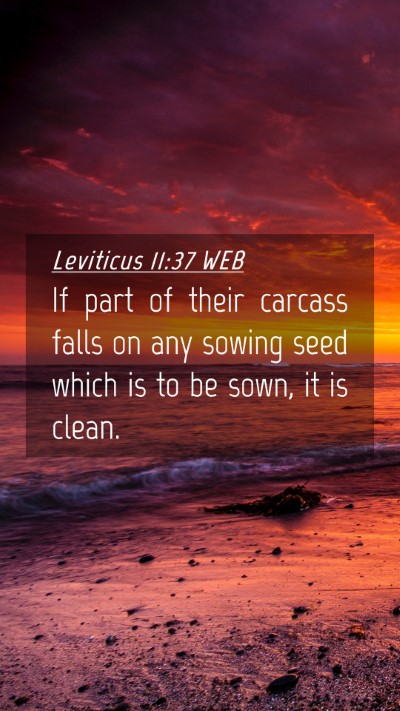 Picture 04 - Leviticus 11:37 WEB Mobile Phone Wallpaper - If part of their carcass falls on any sowing seed - Mobile Bible Verse Wallpaper