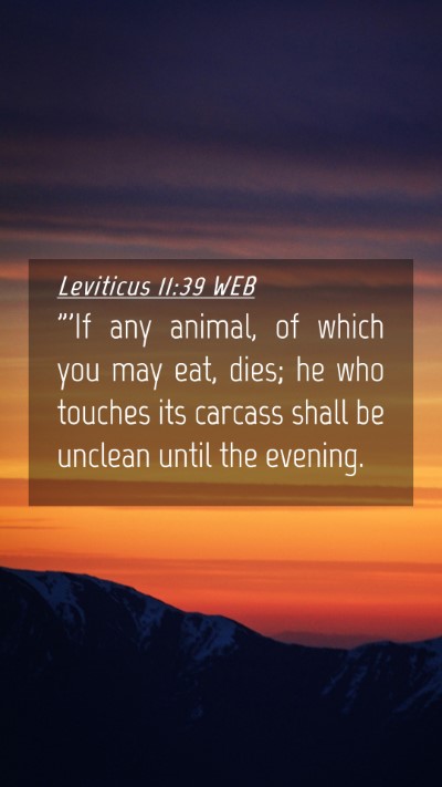 Picture 04 - Leviticus 11:39 WEB Mobile Phone Wallpaper - 