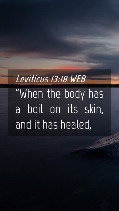 Picture 04 - Leviticus 13:18 WEB Mobile Phone Wallpaper - 