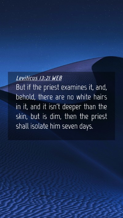 Picture 04 - Leviticus 13:21 WEB Mobile Phone Wallpaper - But if the priest examines it, and, behold, there - Mobile Bible Verse Wallpaper