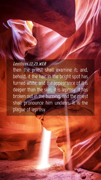 Picture 04 - Leviticus 13:25 WEB Mobile Phone Wallpaper - then the priest shall examine it; and, behold, if - Mobile Bible Verse Wallpaper