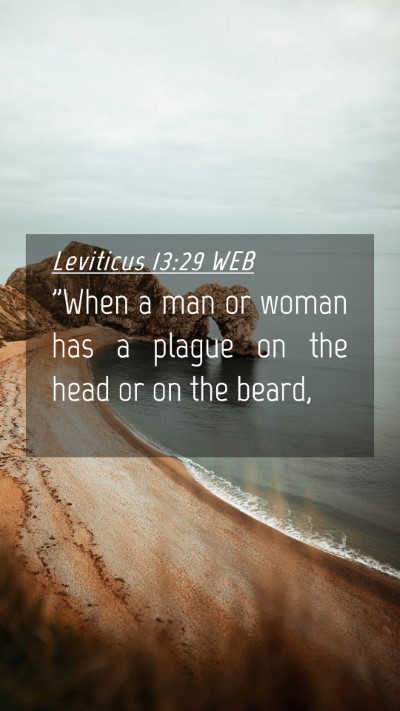 Picture 04 - Leviticus 13:29 WEB Mobile Phone Wallpaper - 