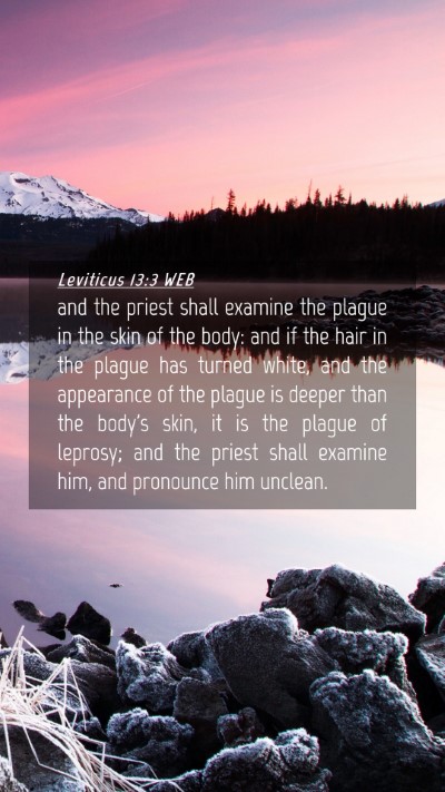 Picture 04 - Leviticus 13:3 WEB Mobile Phone Wallpaper - and the priest shall examine the plague in the - Mobile Bible Verse Wallpaper