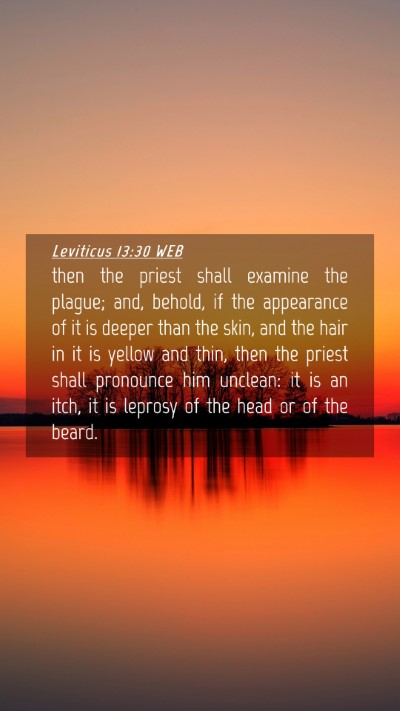Picture 04 - Leviticus 13:30 WEB Mobile Phone Wallpaper - then the priest shall examine the plague; and, - Mobile Bible Verse Wallpaper